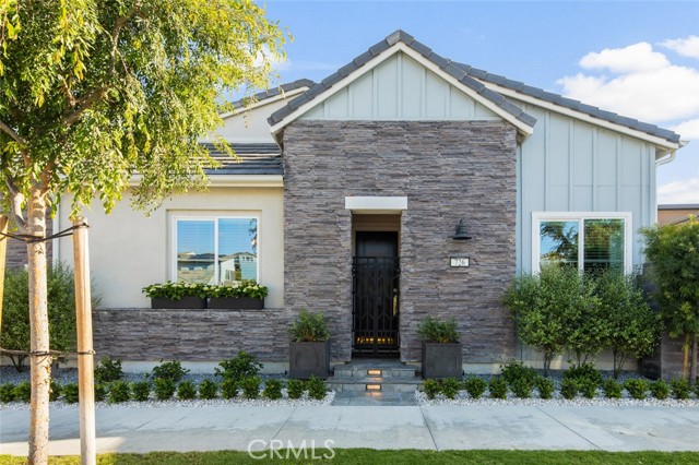 Front Image Thumbnail for CROC26079026