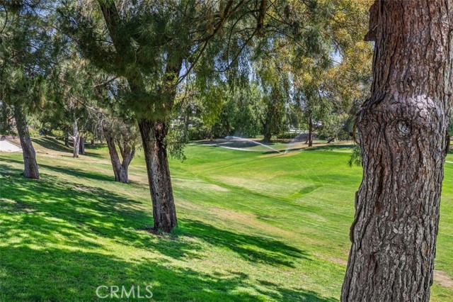 6258 Avenue Juan Diaz, Jurupa Valley CA: https://media.crmls.org/medias/39dedbcf-52a6-47ca-9917-c8a214d7651b.jpg