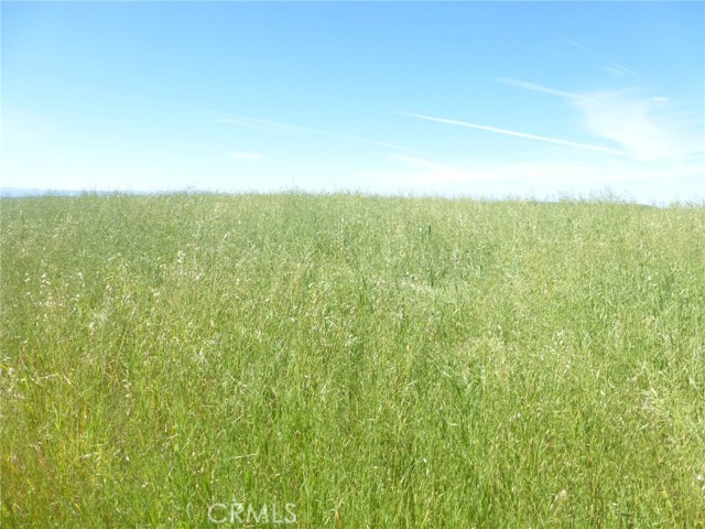 Detail Gallery Image 11 of 44 For 0 Douglas Rd. (Lot 34), San Miguel,  CA 93451 - – Beds | – Baths