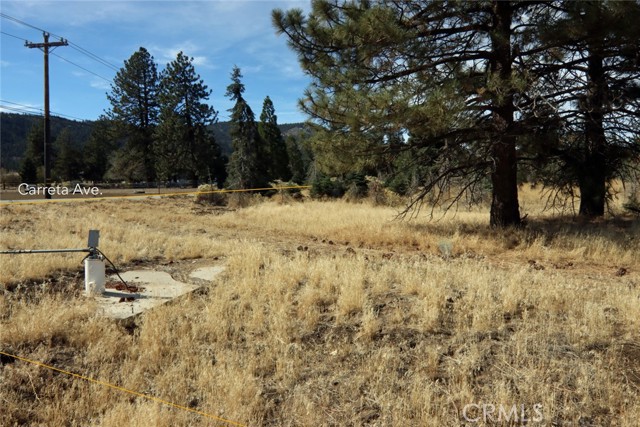 0 Carreta, Frazier Park CA: https://media.crmls.org/medias/39f44e6a-c05c-436d-9442-379fbf1df443.jpg