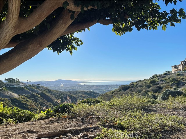 Detail Gallery Image 10 of 40 For 31351 Isle Vista, Laguna Niguel,  CA 92677 - 2 Beds | 2 Baths