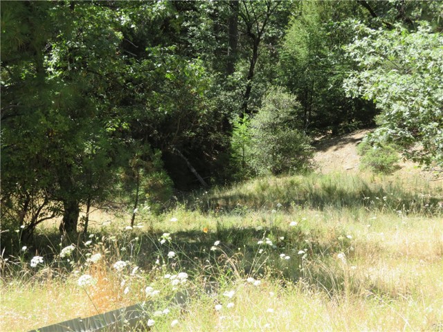 0 Barns Ranch Road, Covelo, California 95428, ,Land,For Sale,0 Barns Ranch Road,CRSN23031018