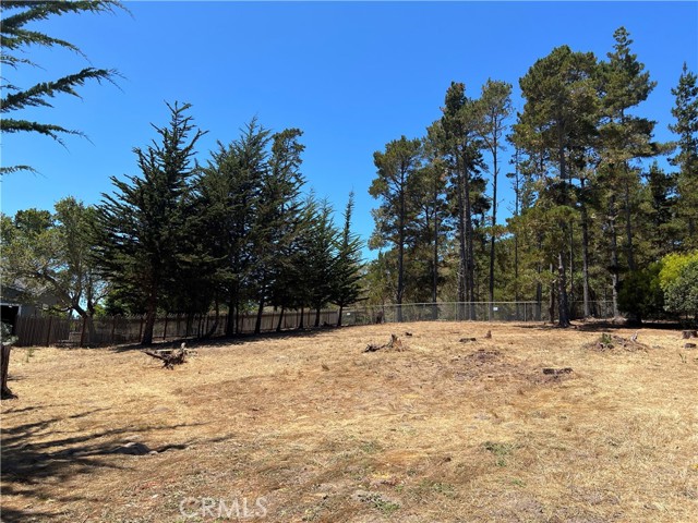 0 Warren Road, Cambria CA: https://media.crmls.org/medias/39fadf0f-19ed-4124-8545-1361152e1f7d.jpg