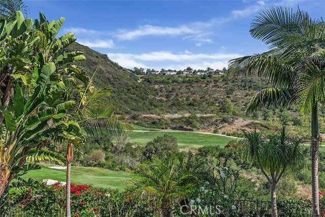 Detail Gallery Image 42 of 54 For 53 Calle Careyes, San Clemente,  CA 92673 - 5 Beds | 5/1 Baths