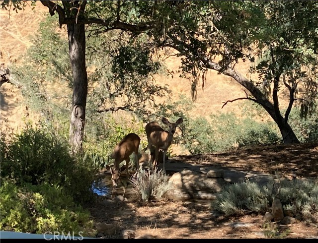 4250 Skylink Lane, Paso Robles CA: https://media.crmls.org/medias/3a039e12-48ed-4995-baf2-cd5c30b47ab3.jpg