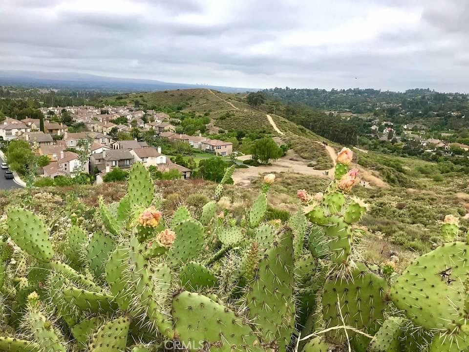 https://media.crmls.org/medias/3a03f326-8a88-4d32-8898-8c5649fdb0f4.jpg?preset=X-Large