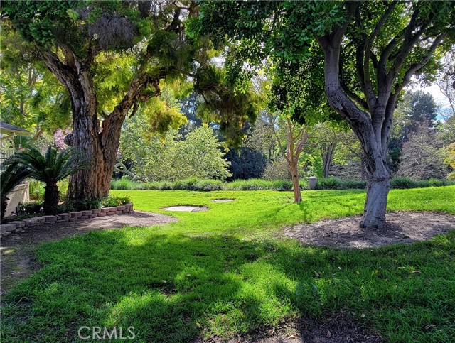 Detail Gallery Image 15 of 29 For 179 Avenida Majorca #C,  Laguna Woods,  CA 92637 - 2 Beds | 2 Baths