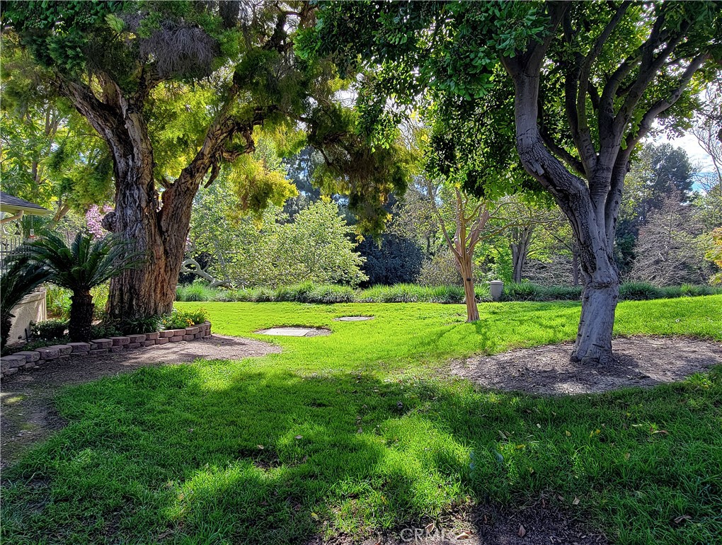 https://media.crmls.org/medias/3a044bcd-489a-490c-94ac-b2ace2695115.jpg?preset=X-Large