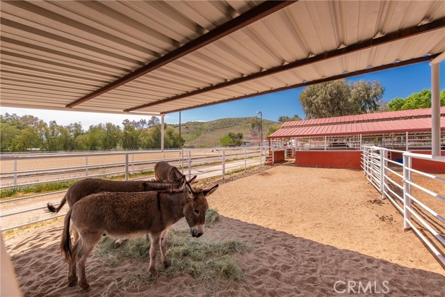 30505 Sloan Canyon Road, Castaic CA: https://media.crmls.org/medias/3a08da75-d7c4-4dbf-adc1-5fa9f5b20c10.jpg