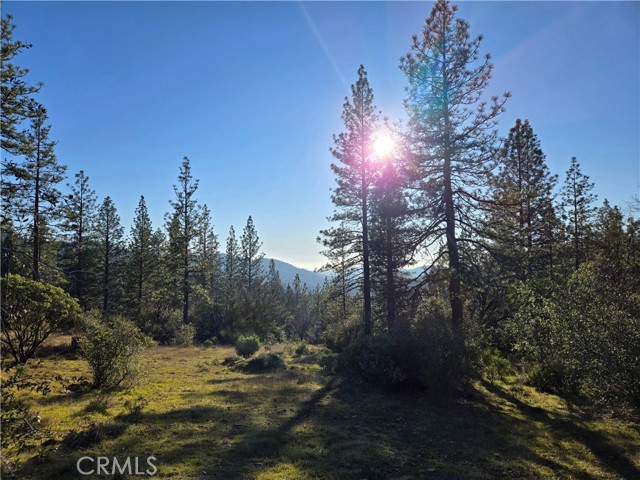 Detail Gallery Image 13 of 34 For 0 Double Eagle Way, Brownsville,  CA 95919 - – Beds | – Baths