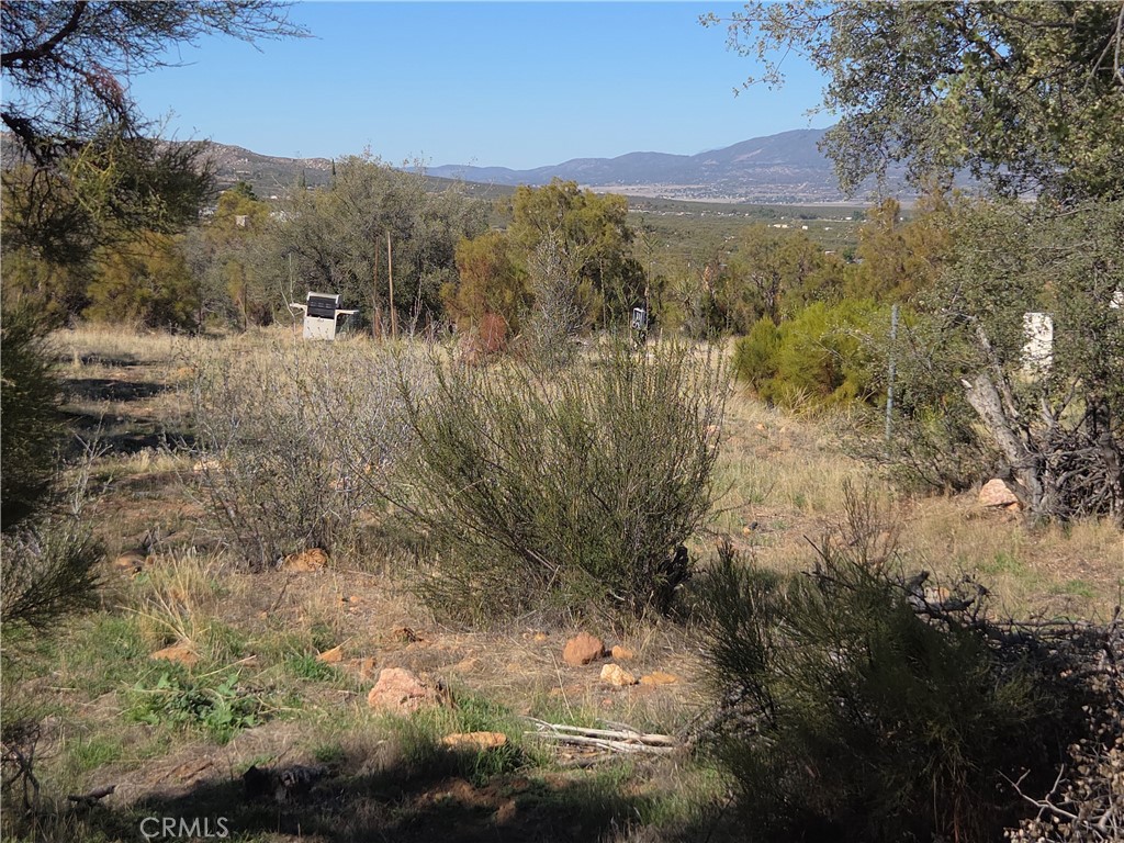 MLS #SW25248553 image #10