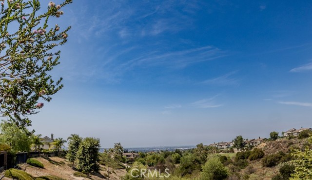 3811 Belgian Lane, Yorba Linda CA: https://media.crmls.org/medias/3a0c4341-4839-4d50-948e-87216c645287.jpg