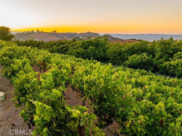 Detail Gallery Image 4 of 51 For 28282 Sycamore Mesa Rd, Temecula,  CA 92590 - 4 Beds | 2/1 Baths