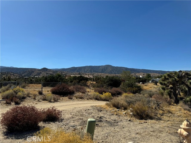 Detail Gallery Image 43 of 46 For 2038 Hollister Rd, Pinon Hills,  CA 92372 - 4 Beds | 2 Baths