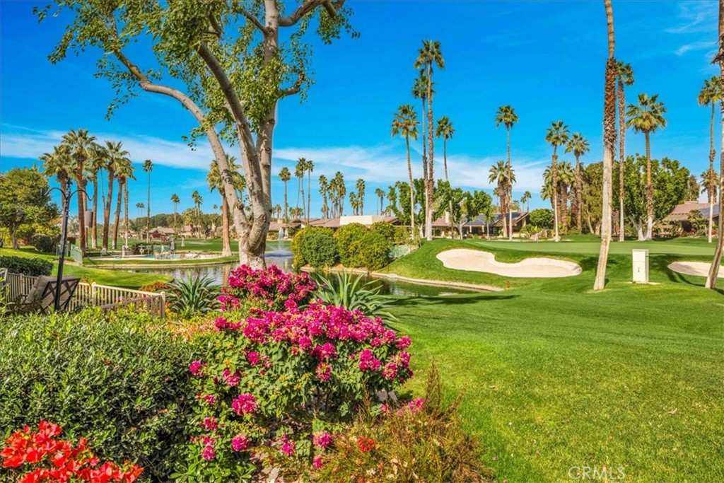 MLS #NP25218389 image #19