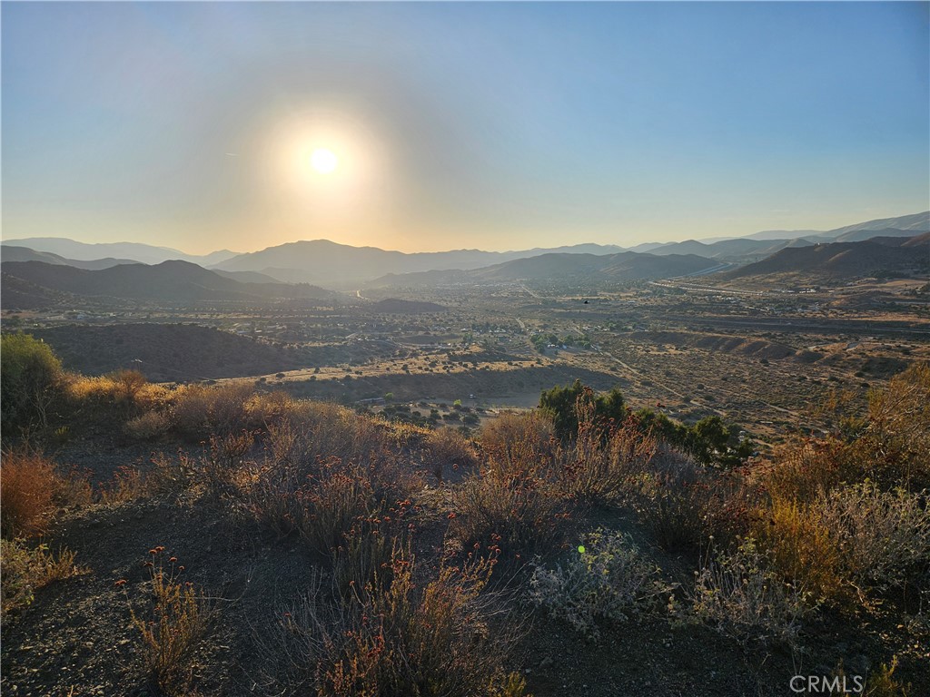 MLS #DW25180755 image #5