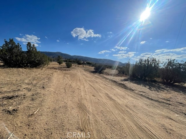 985 Cholla, Pinon Hills, CA, 92372 985 Cholla, Pinon Hills, CA, 92372