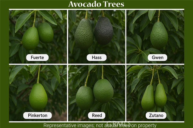 Detail Gallery Image 43 of 54 For 4795 Bain St, Jurupa Valley,  CA 91752 - 4 Beds | 4/1 Baths