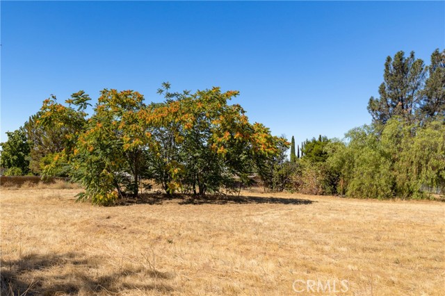 9232 Bonita Drive, Cherry Valley CA: https://media.crmls.org/medias/3a2863e7-5e4c-4b00-8182-23c99b7cece1.jpg
