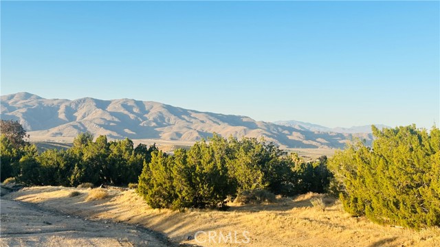 Front Image Thumbnail for CRHD26085149