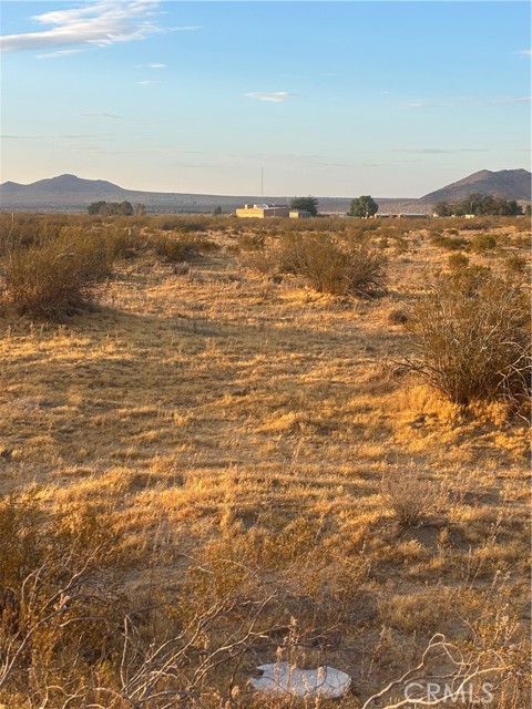  Land for Sale in Black Butte, California