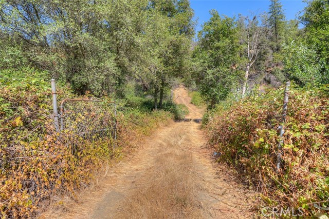 Detail Gallery Image 9 of 33 For 8700 Oro Quincy, Berry Creek,  CA 95916 - – Beds | – Baths