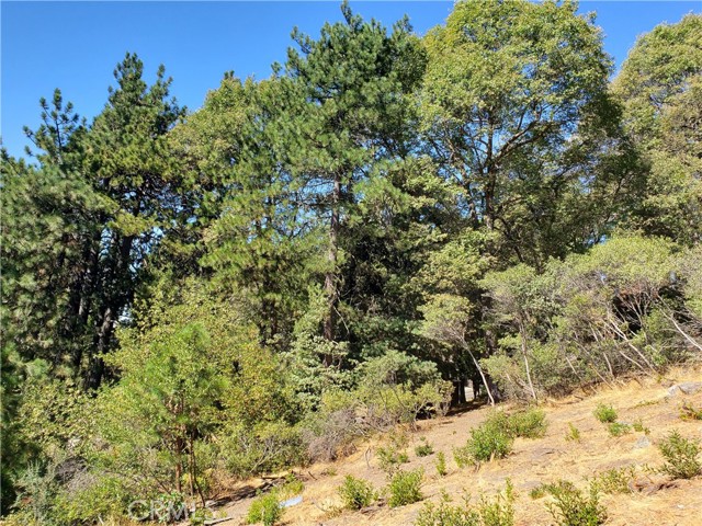 Detail Gallery Image 12 of 27 For 25134 Grandview Dr, Crestline,  CA 92325 - – Beds | – Baths