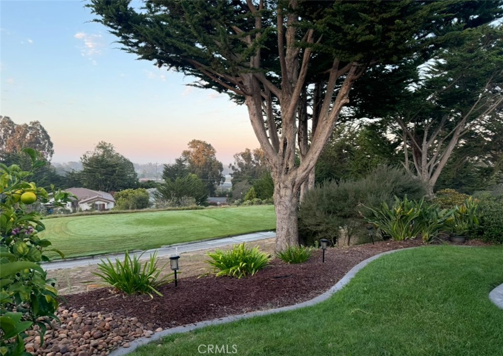 https://media.crmls.org/medias/3a434914-5410-4e43-bbaf-b888b5d907ed.jpg?preset=X-Large