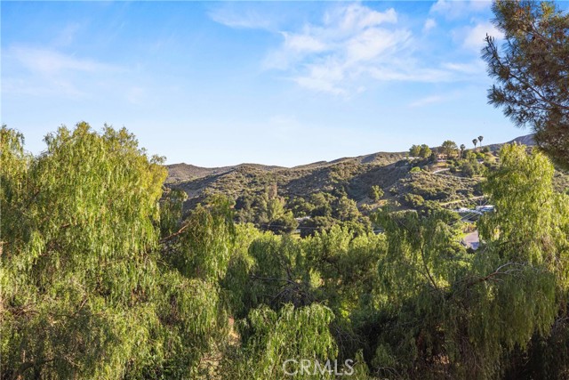 Detail Gallery Image 69 of 71 For 30737 Hasley Canyon Rd, Castaic,  CA 91384 - 4 Beds | 3 Baths
