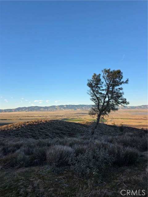 Detail Gallery Image 21 of 29 For 25 3points, Lake Hughes,  CA 93532 - – Beds | – Baths