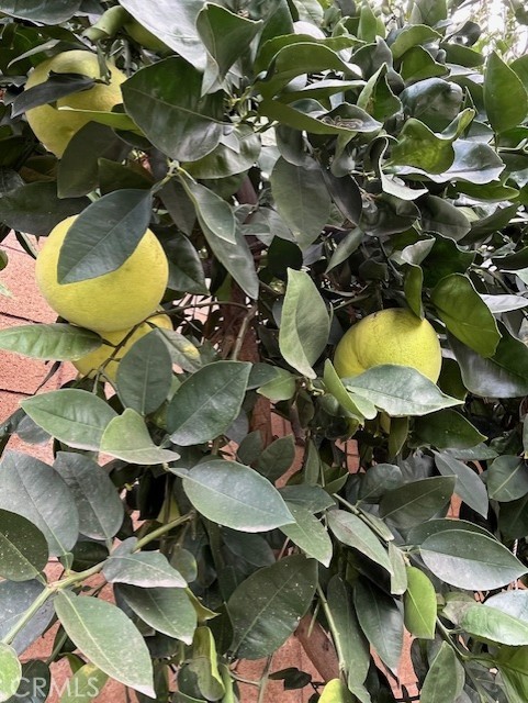 8640 Westman, Whittier CA: https://media.crmls.org/medias/3a4b3338-5831-452b-8078-841912d88ed0.jpg