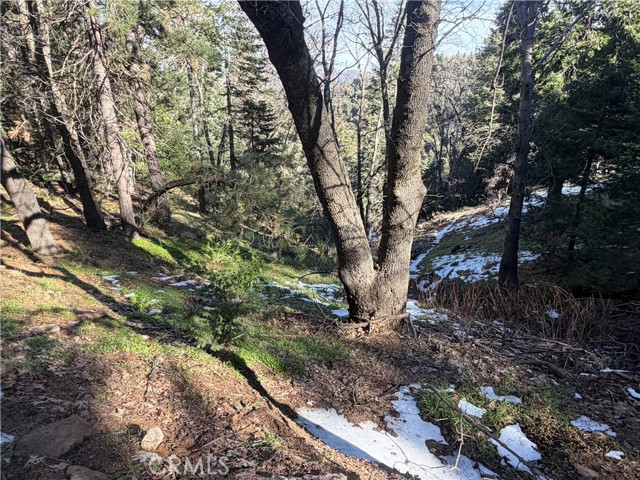 Detail Gallery Image 13 of 20 For 24989 Highland, Crestline,  CA 92325 - – Beds | – Baths