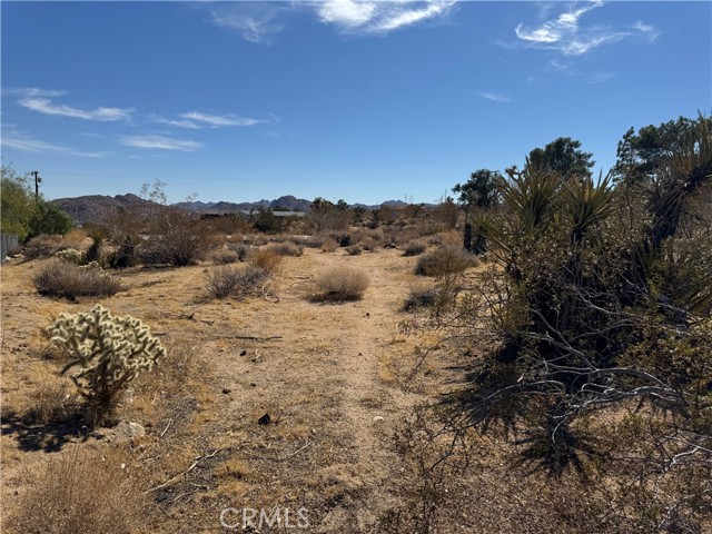 Detail Gallery Image 3 of 5 For 7217 Sunny Vista Rd, Joshua Tree,  CA 92252 - – Beds | – Baths