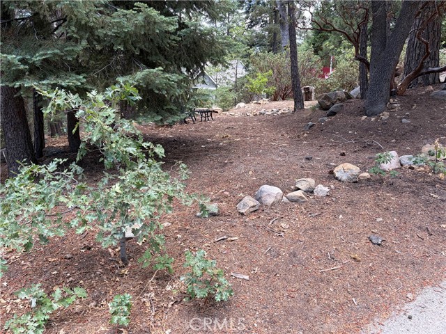 Front Image Thumbnail for CRIG26166284