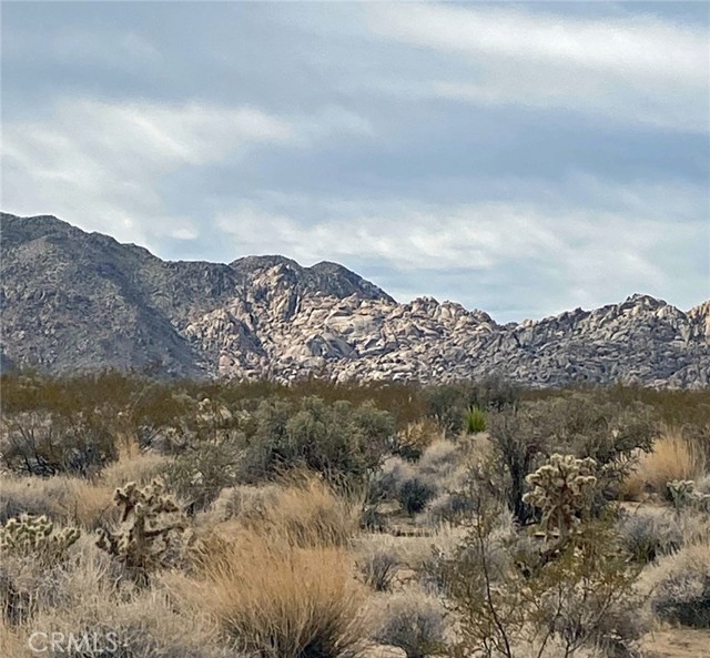 0 Serrano, Twentynine Palms, CA, 92277 0 Serrano, Twentynine Palms, CA, 92277