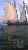 5 Minutes to Dana Point Harbor & Marina