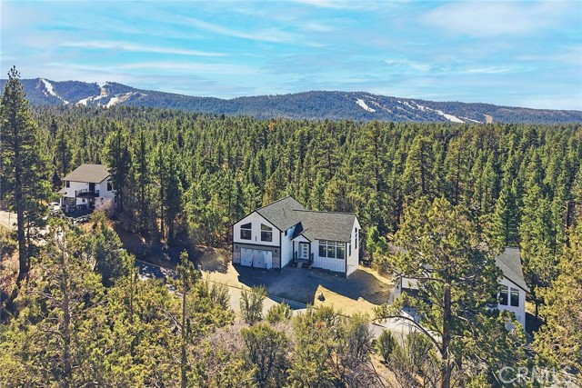 Detail Gallery Image 4 of 4 For 445 Woodcreek, Big Bear City,  CA 92314 - 4 Beds | 3/1 Baths