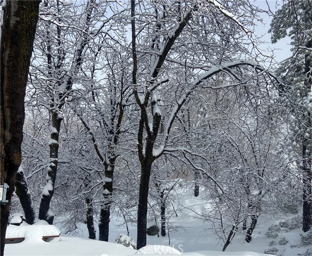 Detail Gallery Image 38 of 75 For 33303 Lake View Dr, Arrowbear,  CA 92382 - 4 Beds | 2 Baths