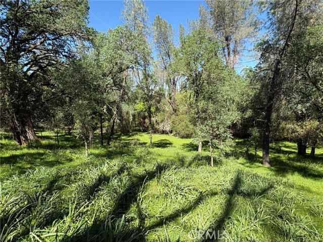 Detail Gallery Image 17 of 26 For 3465 Foothill Bld, Oroville,  CA 95966 - – Beds | – Baths