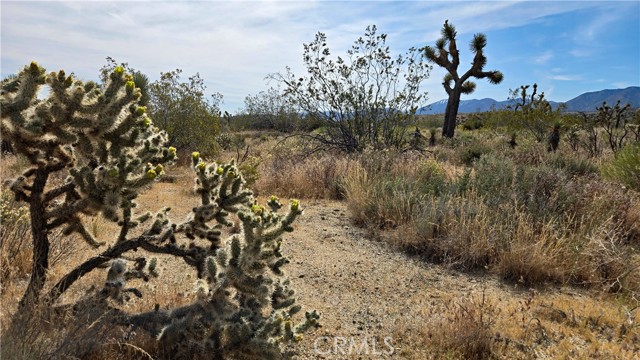 Detail Gallery Image 19 of 49 For 0 103rd St East Vicinity W14, –,  CA 93543 - – Beds | – Baths