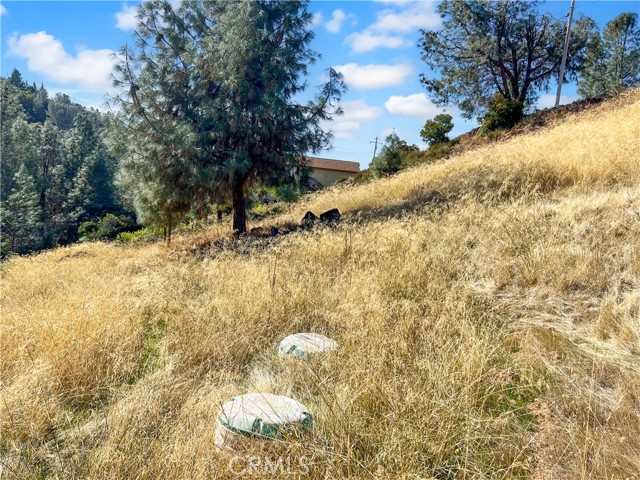 Detail Gallery Image 4 of 9 For 10203 El Capitan, Kelseyville,  CA 95451 - – Beds | – Baths