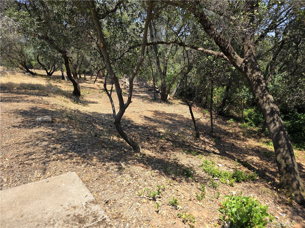 https://media.crmls.org/medias/3a9b6ece-d3a1-408c-92f0-4aa86f4c2749.jpg?preset=X-Large