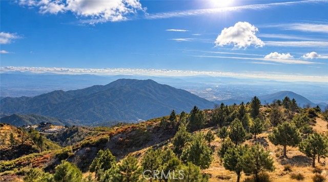 30539 Holly Drive, Running Springs, CA 92382