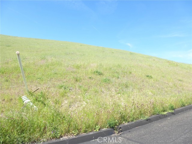 Detail Gallery Image 11 of 42 For 0 Douglas Rd. (Lot 28), San Miguel,  CA 93451 - – Beds | – Baths