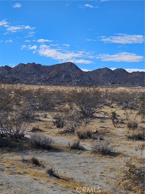 Detail Gallery Image 2 of 4 For 0 California Ave, Joshua Tree,  CA 92252 - – Beds | – Baths