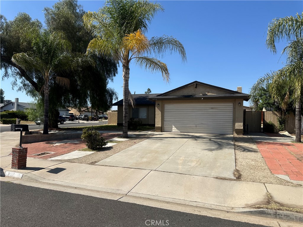 14310 Agave