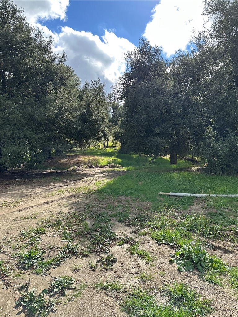 https://media.crmls.org/medias/3aa7bc0e-f2a0-422f-a4f5-49dd1fe608f1.jpg?preset=X-Large