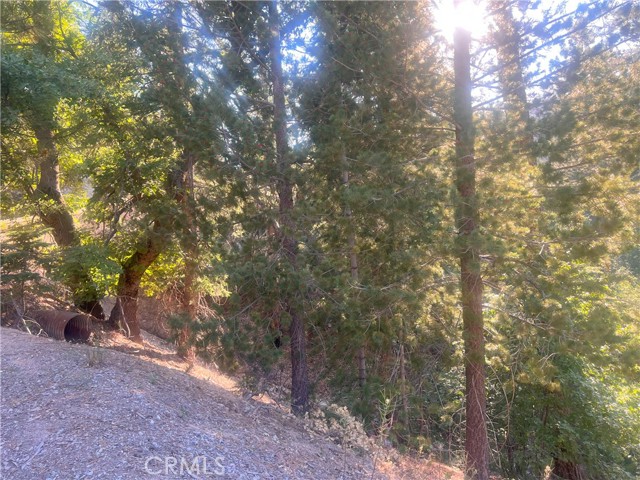 3300330 Elder Drive, Cedar Glen, California 92321, ,Land,For Sale,3300330 Elder Drive,CRHD23128009