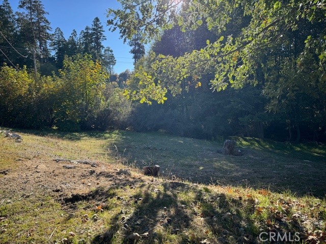 Detail Gallery Image 5 of 7 For 430 Alder Ln, Cedar Glen,  CA 92321 - – Beds | – Baths