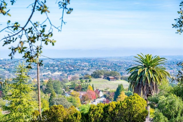 Detail Gallery Image 39 of 64 For 549 Derby, Paso Robles,  CA 93446 - 5 Beds | 3/2 Baths